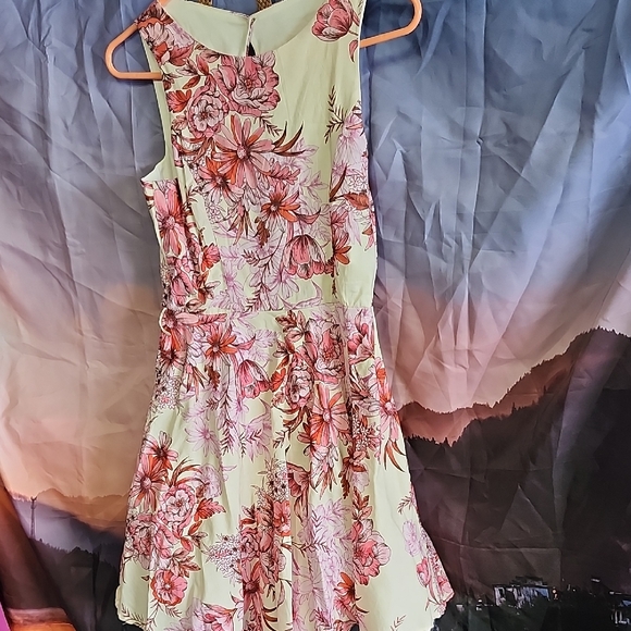 Bailey Blue Floral Dress - Pink and Cream - Picture 1 of 5